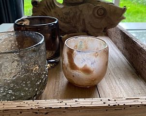 Unterkunft 0401167 - Ferienhaus Ameland - Lodge 't Pandje