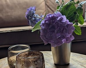 Unterkunft 0401168 - Appartement Ameland - Petit