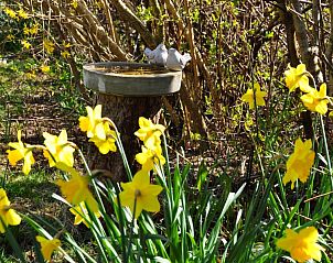 Guest house 040125 - Bungalow Ameland - Brockjiske