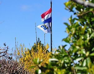 Guest house 040125 - Bungalow Ameland - Brockjiske