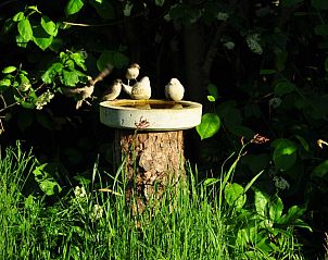 Guest house 040125 - Bungalow Ameland - Brockjiske