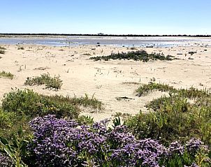 Guest house 040126 - Bungalow Ameland - Zilt****