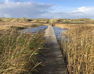 Guest house 040126 - Bungalow Ameland - Zilt****
