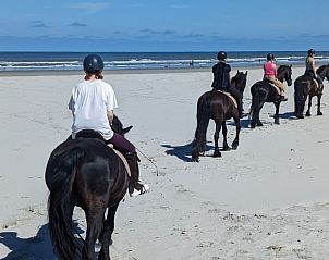 Guest house 040126 - Bungalow Ameland - Zilt****