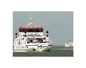 Unterkunft 040130 - Ferienhaus Ameland - 293562