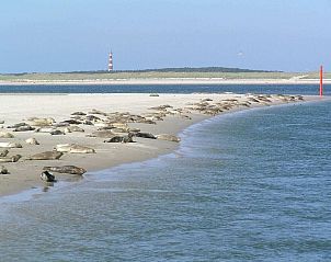 Unterkunft 040130 - Ferienhaus Ameland - 293562