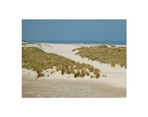Unterkunft 040130 - Ferienhaus Ameland - 293562