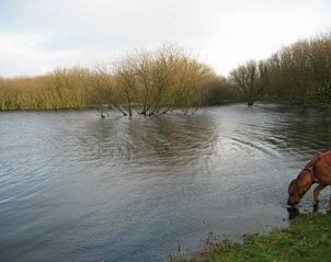 Unterkunft 040147 - Chalet Ameland - Kia Ora
