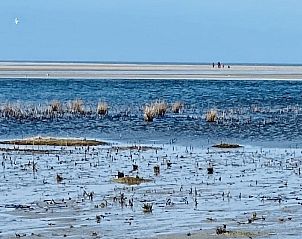 Unterkunft 040147 - Chalet Ameland - Kia Ora