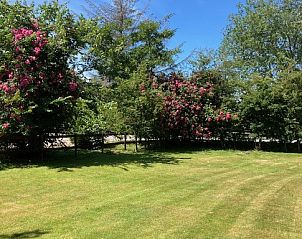 Uitgestrekte groene tuin bij Akkerduin vakantiehuis in Ballum, Ameland.