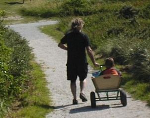 Guest house 040179 - Bungalow Ameland - Alba Rose