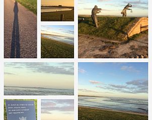 Guest house 040179 - Bungalow Ameland - Alba Rose