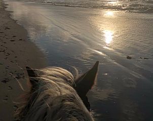 Reiten entlang des Strandes bei Sonnenuntergang in der Nhe des Ferienhauses in Buren Ameland.