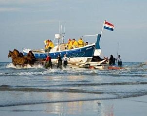 Pferde und Boot am Strand von Ameland, in der Nhe des Ferienhauses WA003 in Buren.