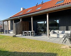 Guest house 040242 - Holiday property Ameland - Goud- en Zilverplevier