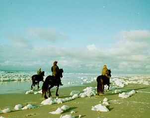 Paardrijden langs de kust bij Bungalow Dolfijn, Buren, Ameland met zeezicht.
