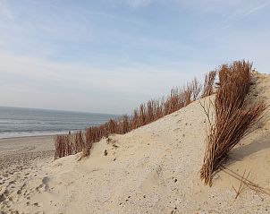 Unterkunft 0403125 - Ferienhaus Ameland - Luxe safaritent op Ameland