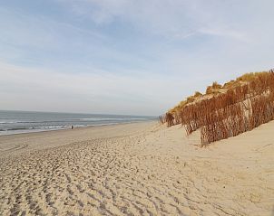 Unterkunft 0403125 - Ferienhaus Ameland - Luxe safaritent op Ameland