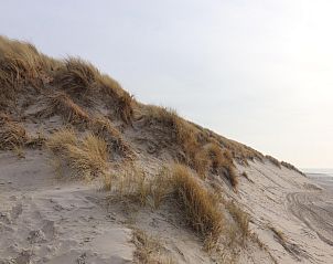 Unterkunft 0403125 - Ferienhaus Ameland - Luxe safaritent op Ameland