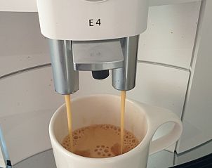 Unterkunft 0403138 - Ferienhaus Ameland - Strandloper