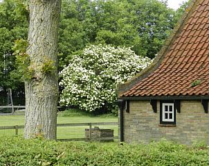 Unterkunft 0403167 - Ferienhaus Ameland - Vakantiehuis Kiewiet Ameland