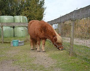 Unterkunft 0403187 - Ferienhaus Ameland - Het Woonhuis