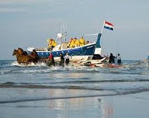Verblijf 0403207 - Vakantiewoning Ameland - Duyngolf 71