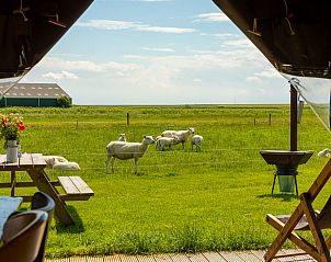 Guest house 040321 • Holiday property Ameland • Strandchalet 4 Miva 