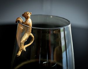 Uniek glasdetail in Breeze 1 appartement, Hollum, Ameland, met een gouden aapje op de rand.