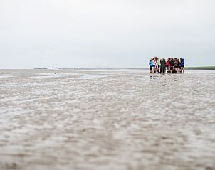Wadlopen in de buurt van Breeze 1, Hollum, Ameland, een unieke ervaring op de Waddeneilanden.