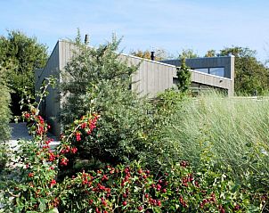 Verblijf 0403227 - Vakantiewoning Ameland - Duingolfvilla 65