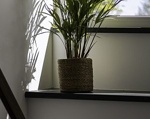 Unterkunft 0403228 - Appartement Ameland - de hoge stoep