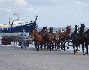 Unterkunft 040322 - Ferienhaus Ameland - Sier