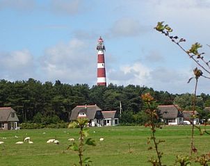 Unterkunft 040322 - Ferienhaus Ameland - Sier