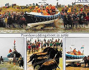 Unterkunft 0403232 - Ferienhaus Ameland - huisje WELTEVREE