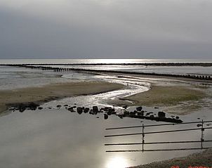 Unterkunft 0403232 - Ferienhaus Ameland - huisje WELTEVREE