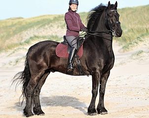 Unterkunft 0403232 - Ferienhaus Ameland - huisje WELTEVREE