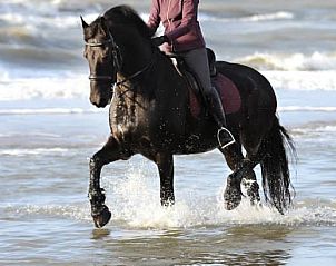 Unterkunft 0403232 - Ferienhaus Ameland - huisje WELTEVREE