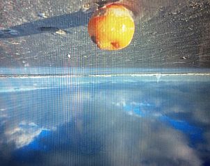 Unterkunft 0403232 - Ferienhaus Ameland - huisje WELTEVREE