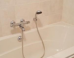 Guest house 0403233 - Bungalow Ameland - Mees