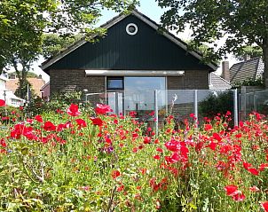 Unterkunft 040366 • Ferienhaus Ameland • ALFIT 