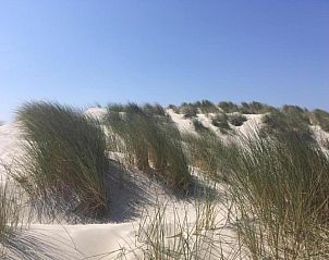 Verblijf 040409 - Vakantiewoning Ameland - Fairytale Cottage in Nes Friesland with garden and terrace