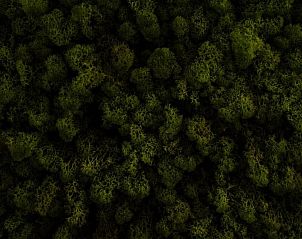 Verblijf 040413 - Vakantie appartement Ameland - Logement Zee van Tijd