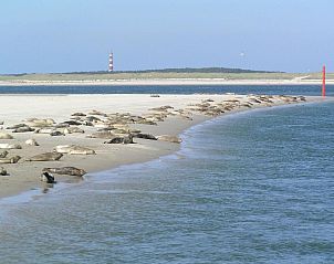 Unterkunft 040429 - Appartement Ameland - De Berkenhof Aparthotel