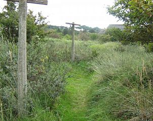 Unterkunft 040431 - Ferienhaus Ameland - De Vijfhoek