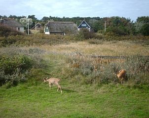 Verblijf 040474 - Vakantiewoning Ameland - Aurora