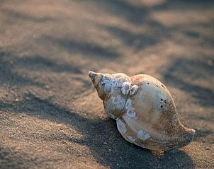 Verblijf 040476 - Vakantiewoning Ameland - Ambla