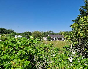 Unterkunft 040478 - Ferienhaus Ameland - Amalia