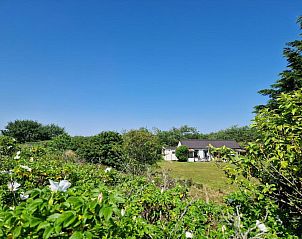 Unterkunft 040478 - Ferienhaus Ameland - Amalia