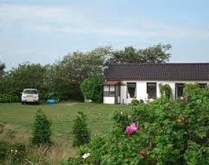 Unterkunft 040478 - Ferienhaus Ameland - Amalia